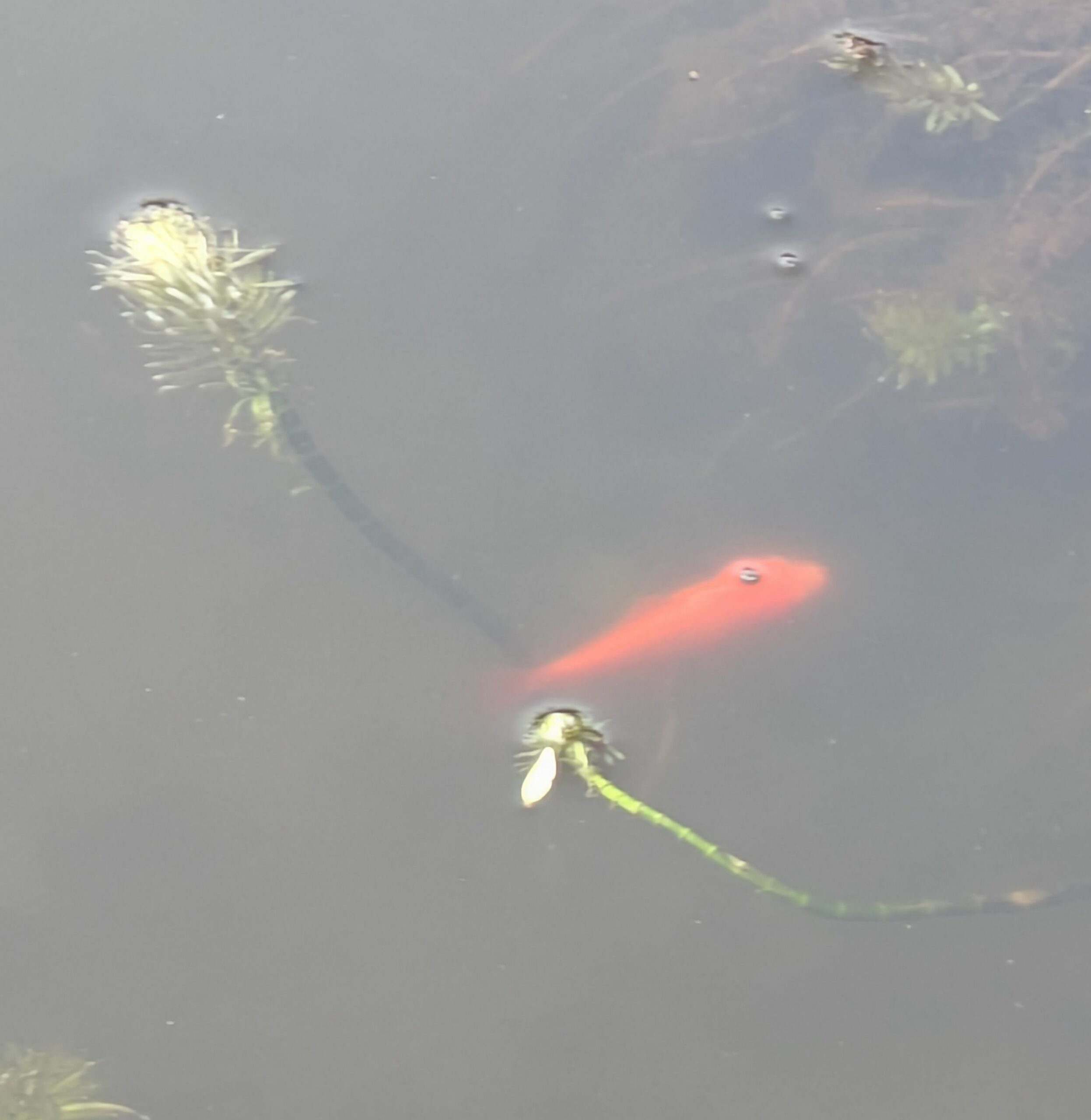 seconde nous sépare